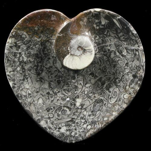 Heart Shaped Fossil Goniatite Dish #39348